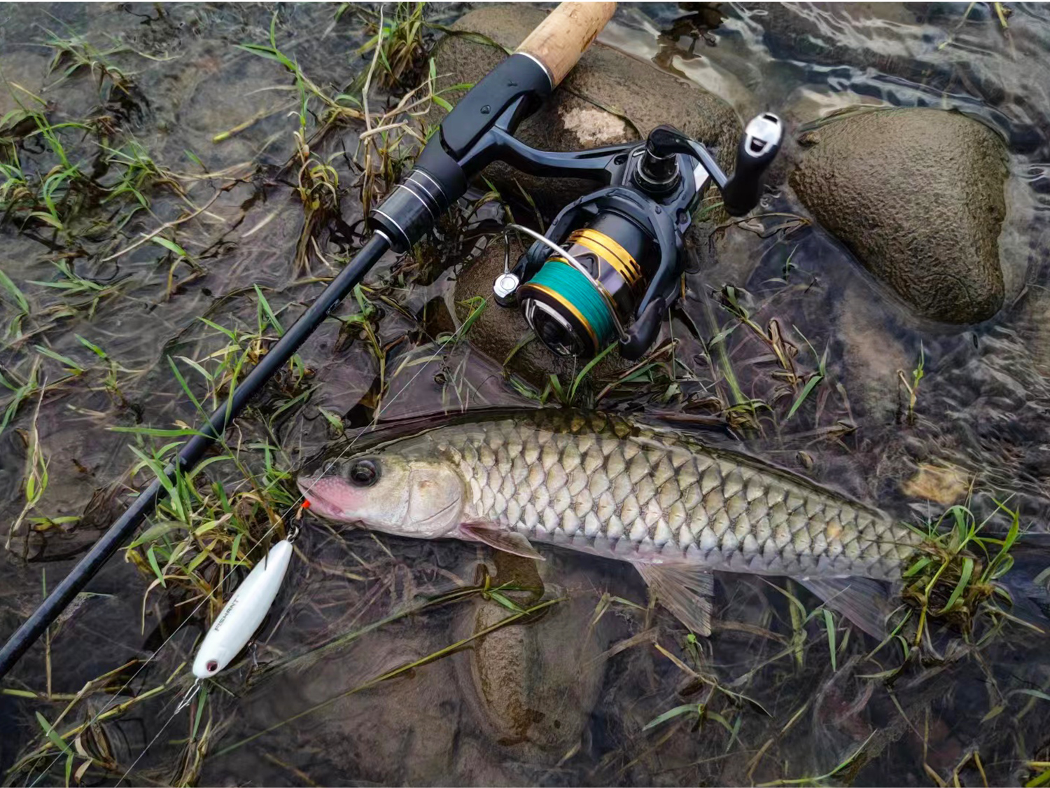 微型路亚竿(路亚微物教程)