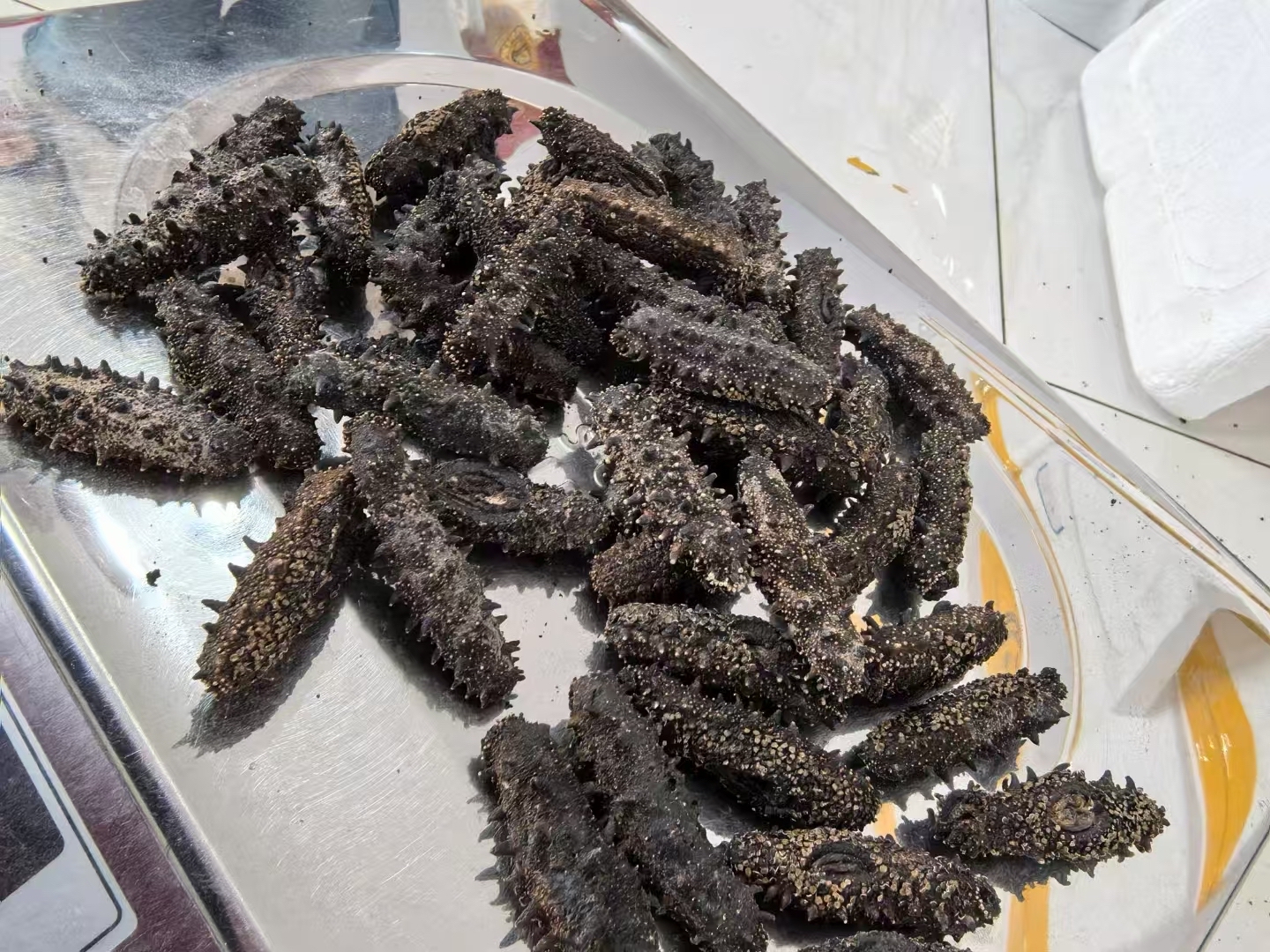 海钓血虫的保存(钓鱼血虫哪里批发)