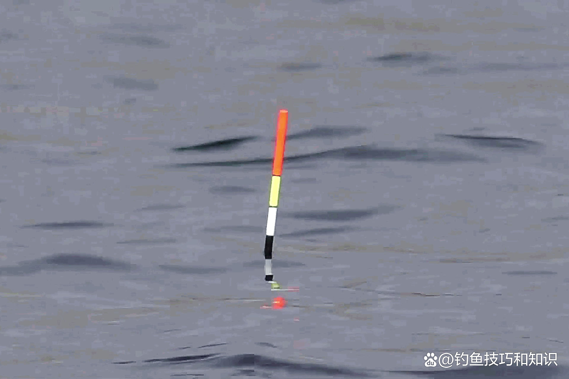 手杆钓鱼落点准确技巧(手杆钓鱼调漂的正确方法视频)