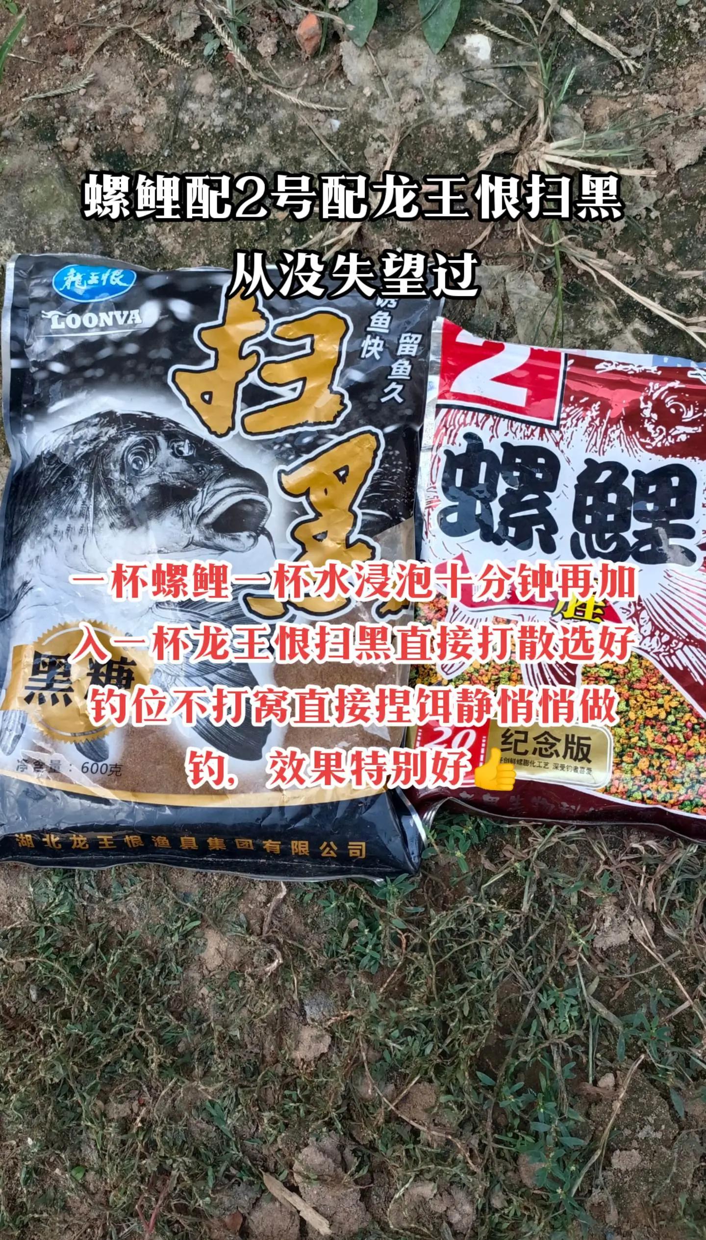 大鲫大鲤饵料配方(大鲫大鲤什么意思)