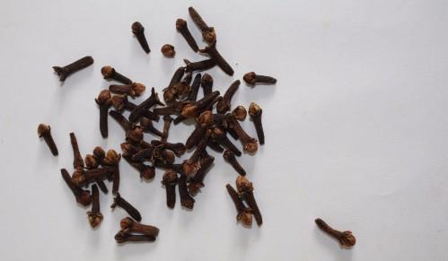 老曹土饵料(我钓土鲮的经典饵料)