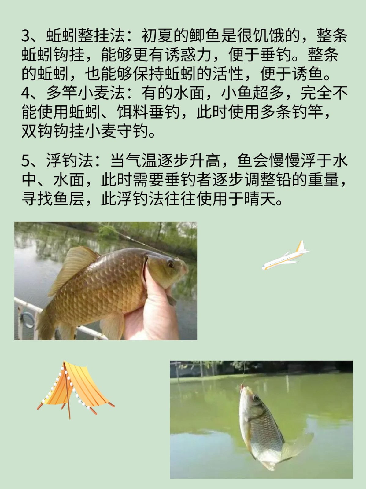 初夏池塘钓鱼技巧(夏天池塘钓鱼钓深水还是浅水)