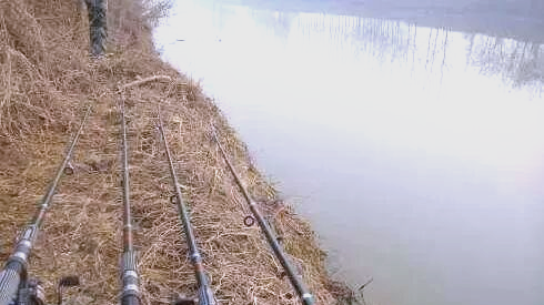 海竿冬钓鲫鱼技巧视频(海竿冬钓鲫鱼技巧视频讲解) 海竿冬钓鲫鱼技巧视频(海竿冬钓鲫鱼技巧视频讲解)