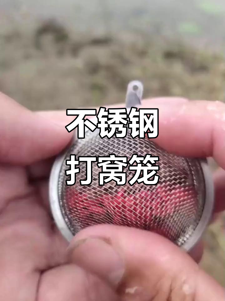 饵料笼诱鱼(钓鱼诱饵笼的使用方法)