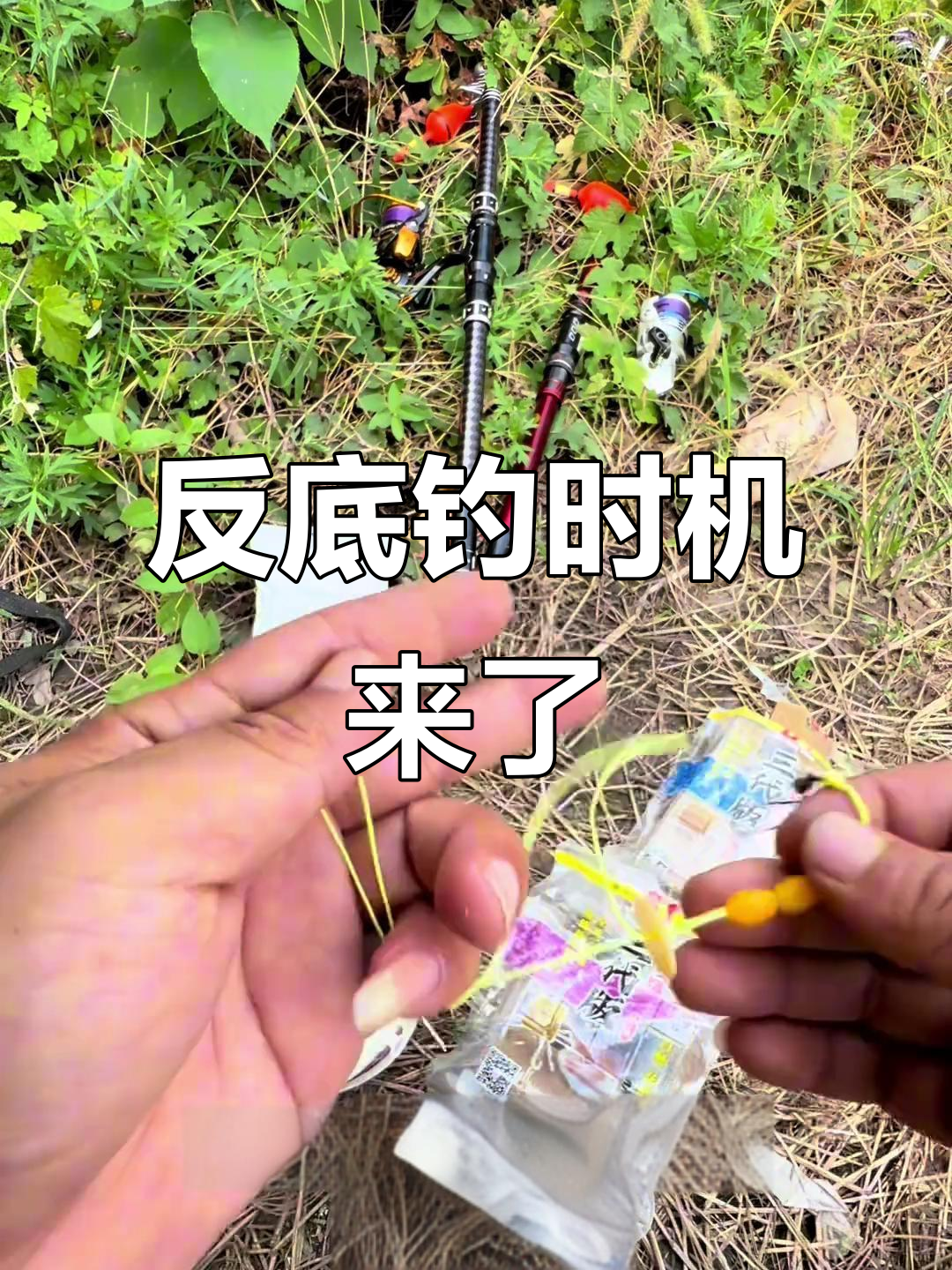 中秋钓大鲤鱼技巧(中秋钓大鲤鱼技巧图解) 中秋钓大鲤鱼技巧(中秋钓大鲤鱼技巧图解)