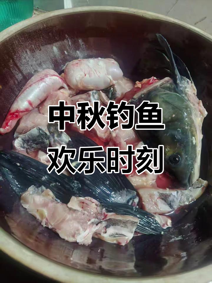 中秋钓大鲤鱼技巧(中秋钓大鲤鱼技巧图解) 中秋钓大鲤鱼技巧(中秋钓大鲤鱼技巧图解)