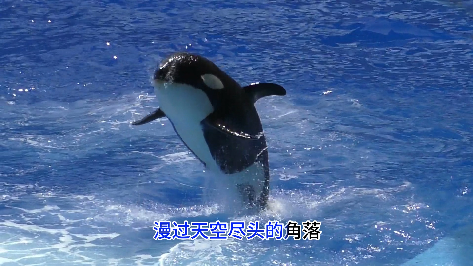 大鱼演唱技巧视频大全(大鱼演唱动作) 大鱼演唱技巧视频大全(大鱼演唱动作)