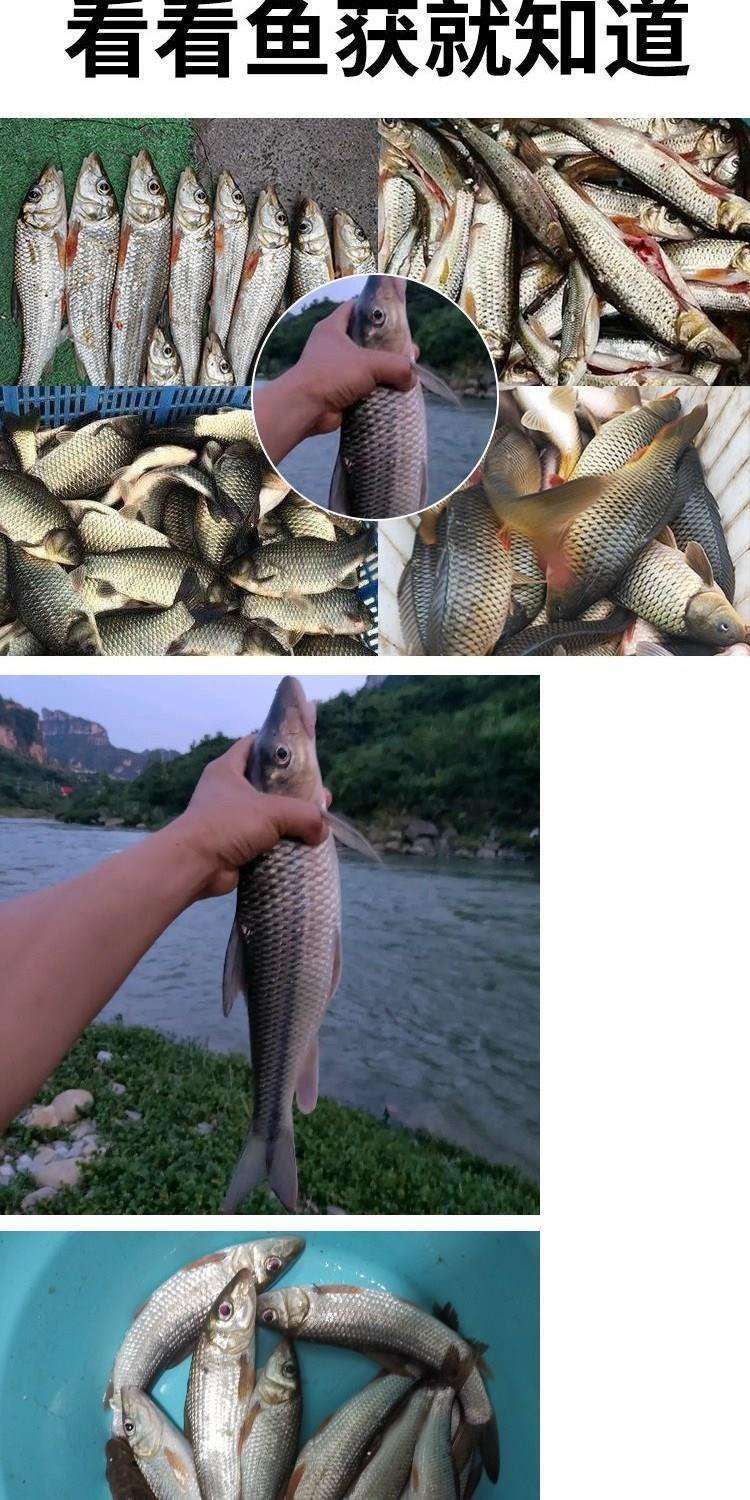 重唇鱼用什么饵料好(重唇鱼吃什么饵料) 重唇鱼用什么饵料好(重唇鱼吃什么饵料)