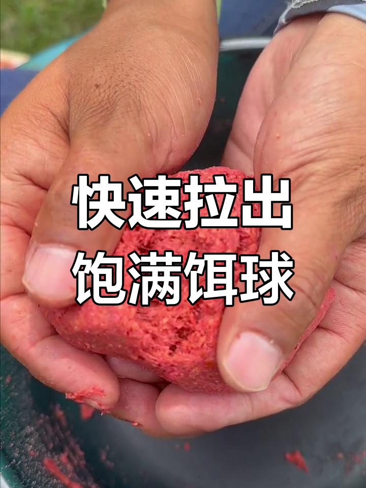 饵料在家开好(饵料现场开好还是在家里开好)