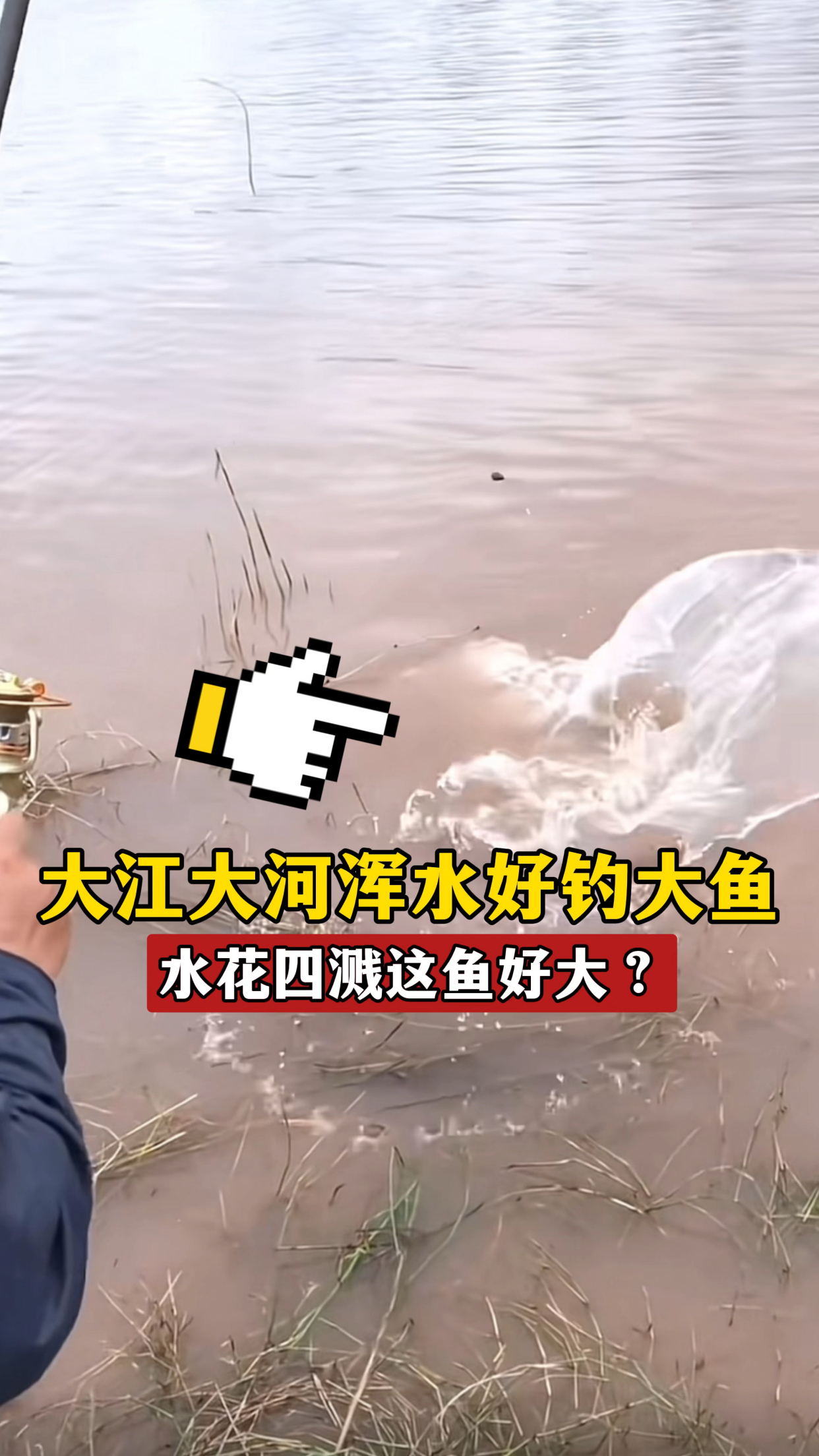 大雨过后浑水钓鱼技巧(大雨过后浑水能钓鲢鳙吗)