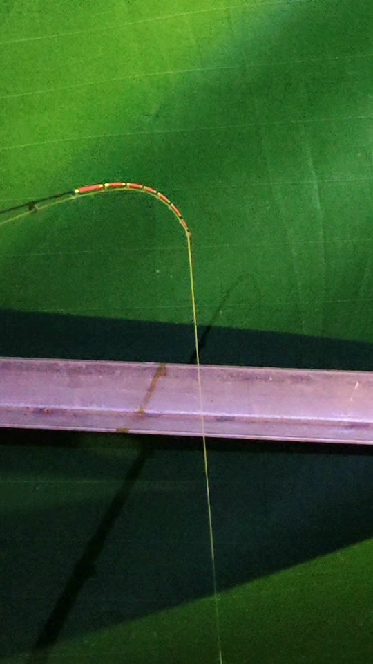 筏钓鲤鱼技巧视频(筏钓如何钓鲤鱼)