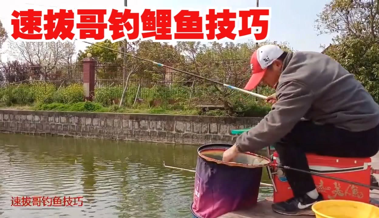 摸鲤鱼的技巧视频(摸摸鲤鱼头)
