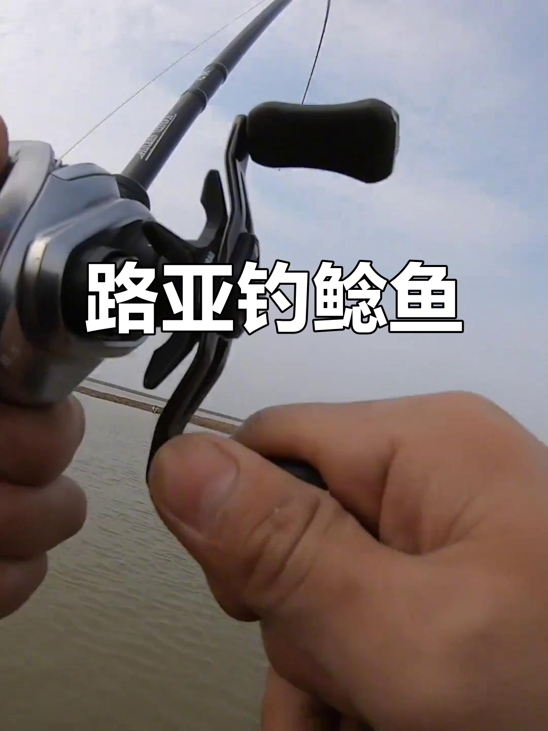 冬天鲶鱼路亚(冬季路亚鲶鱼用什么饵)