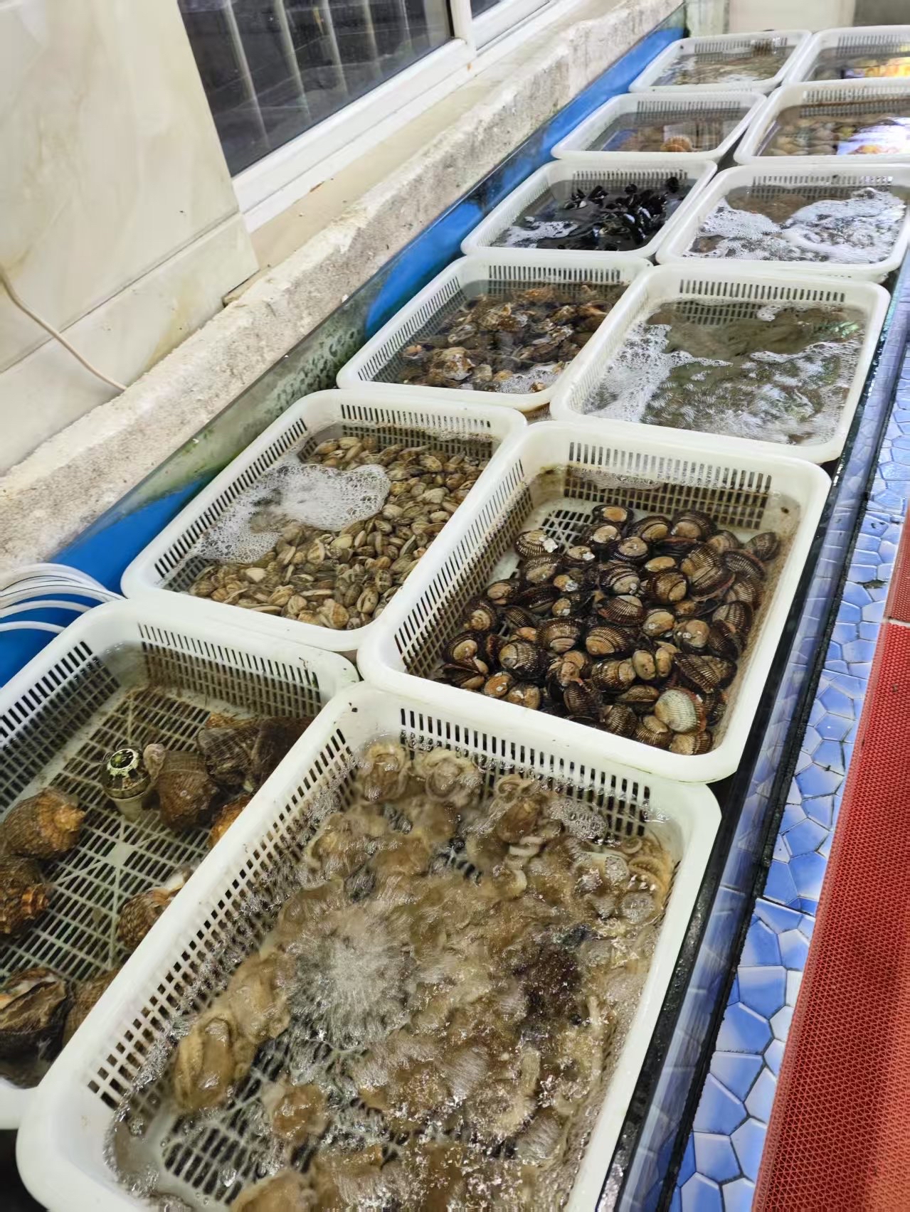 南京海钓群(2021南京钓鱼)