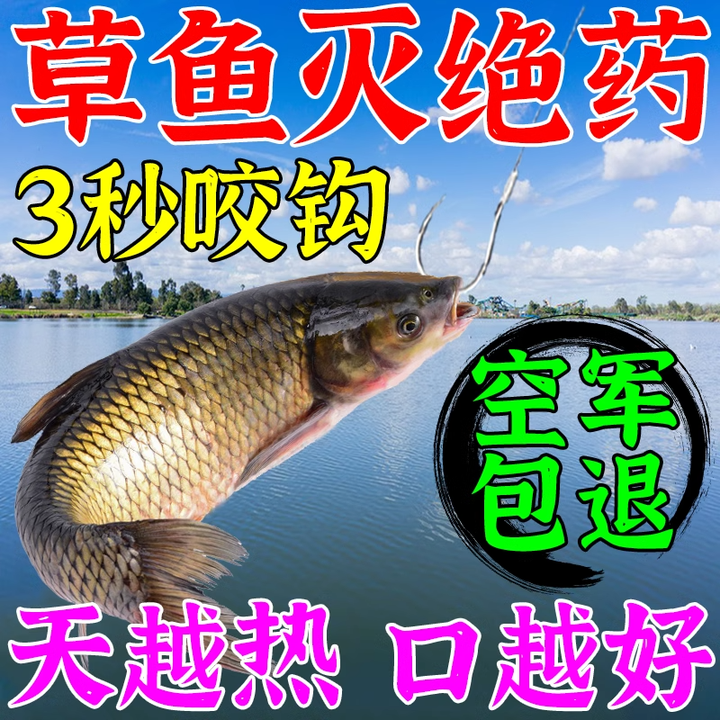 专攻青鱼的饵料(青鱼用什么饵最好)