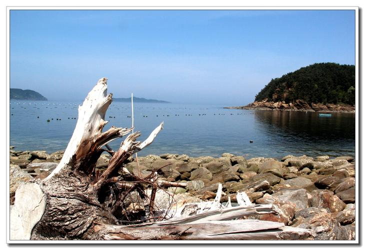 湛江霞山海钓最佳地点(霞山钓鱼)