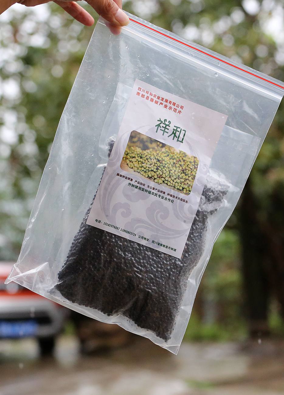 升钟饵料(升钟湖手竿钓鱼技巧)