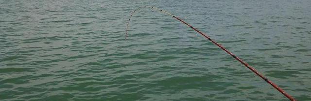 筏钓底钓技巧(筏钓底层鱼)