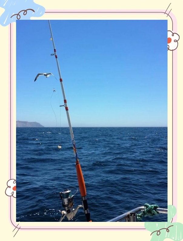 12月厦门海钓(厦门海钓有什么鱼)