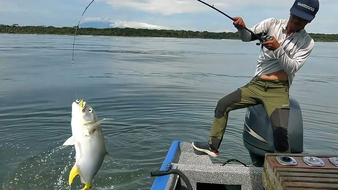 路亚钓海鱼视频(路亚海钓初学常识) 路亚钓海鱼视频(路亚海钓初学常识)