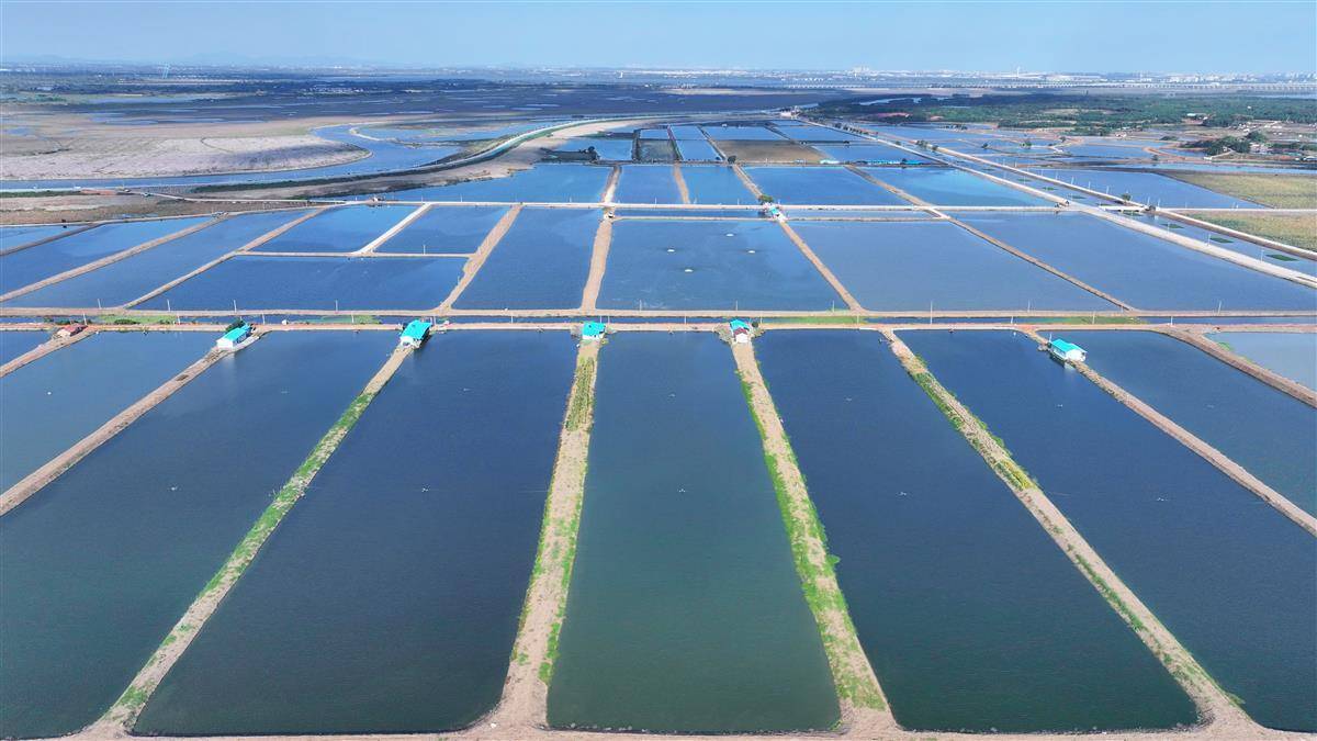 渔具生产基地在哪里(渔具生产厂)