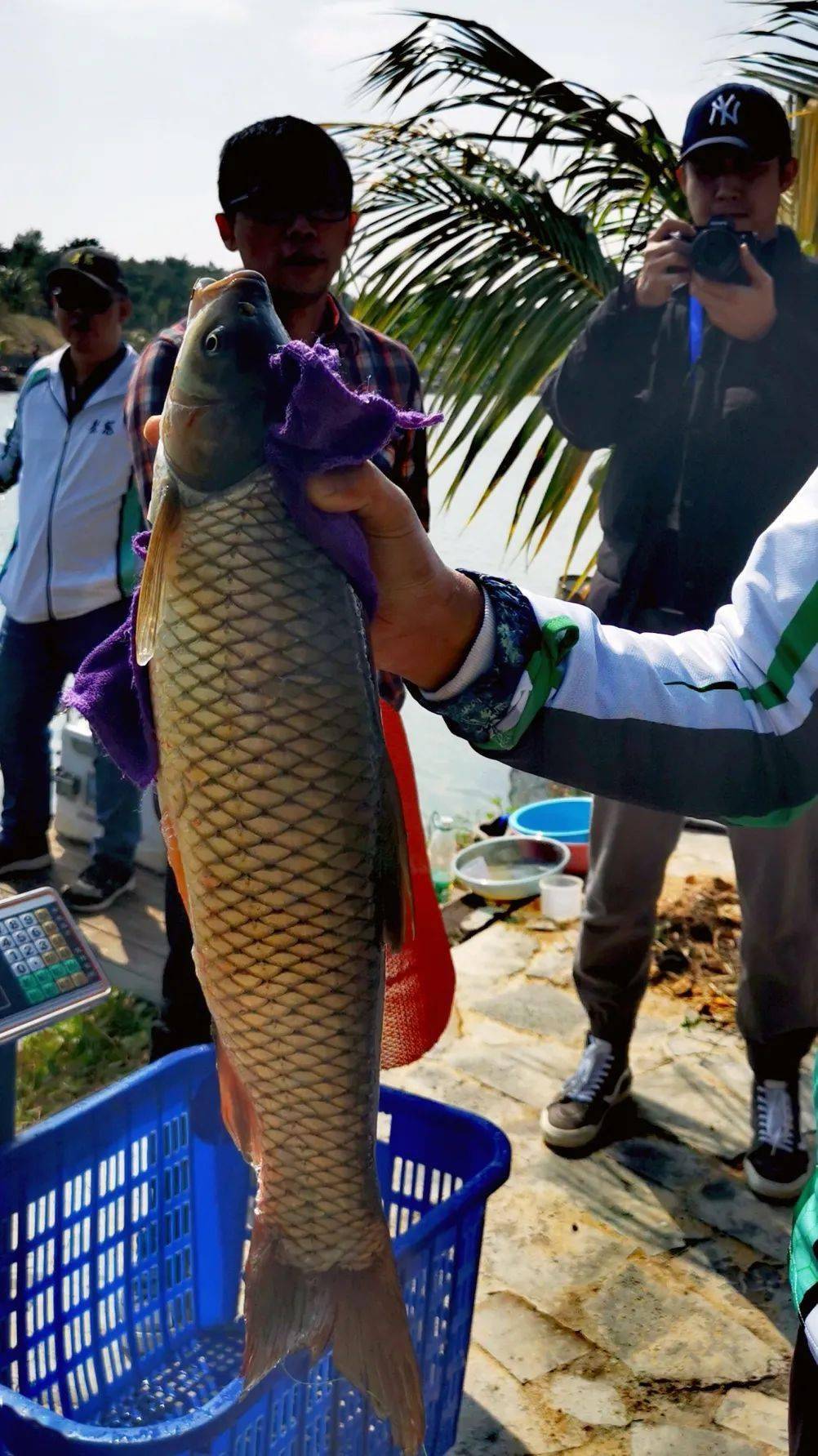 2020海南海钓比赛(海南海钓国际俱乐部)