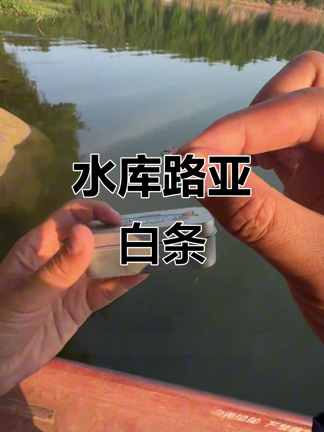 无锡路亚白条(无锡哪里可以钓路亚)