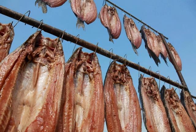 路亚腊鱼技巧(路亚钓鱼为什么被禁止)