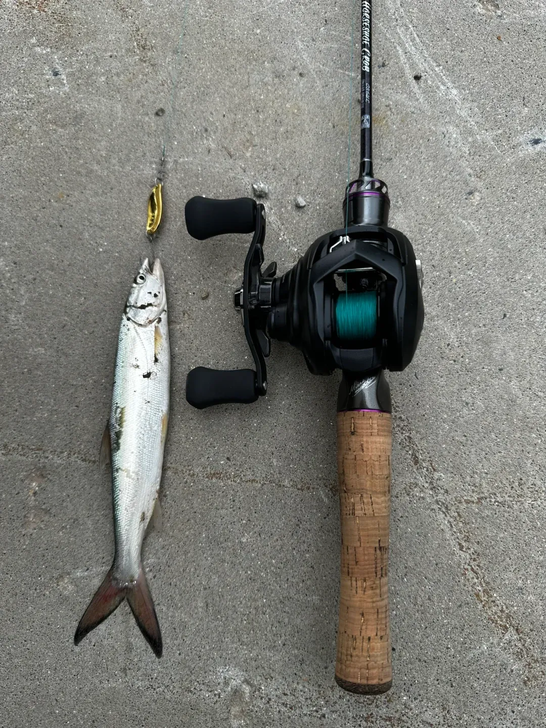 鳡路亚竿(路亚竿 ul)