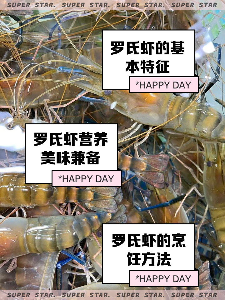 罗氏钓虾技巧(罗氏虾钓虾场) 罗氏钓虾技巧(罗氏虾钓虾场)