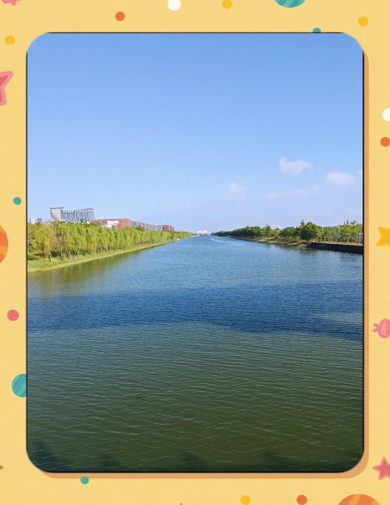 浦东金科路路亚(浦东金科路属于哪个镇)