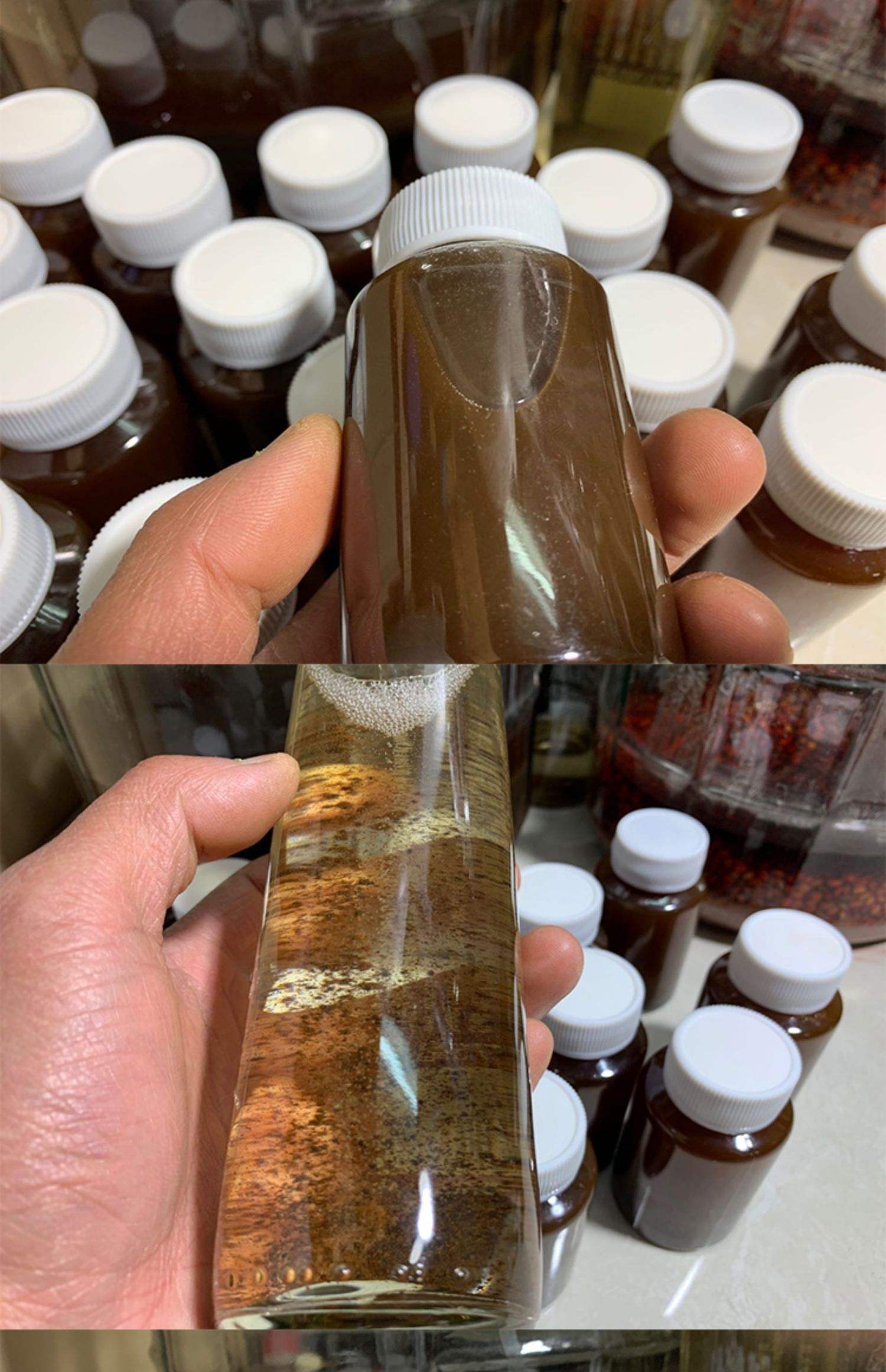 秋雨钓鱼饵料(秋雨钓鲫鱼钓近钓远) 秋雨钓鱼饵料(秋雨钓鲫鱼钓近钓远)