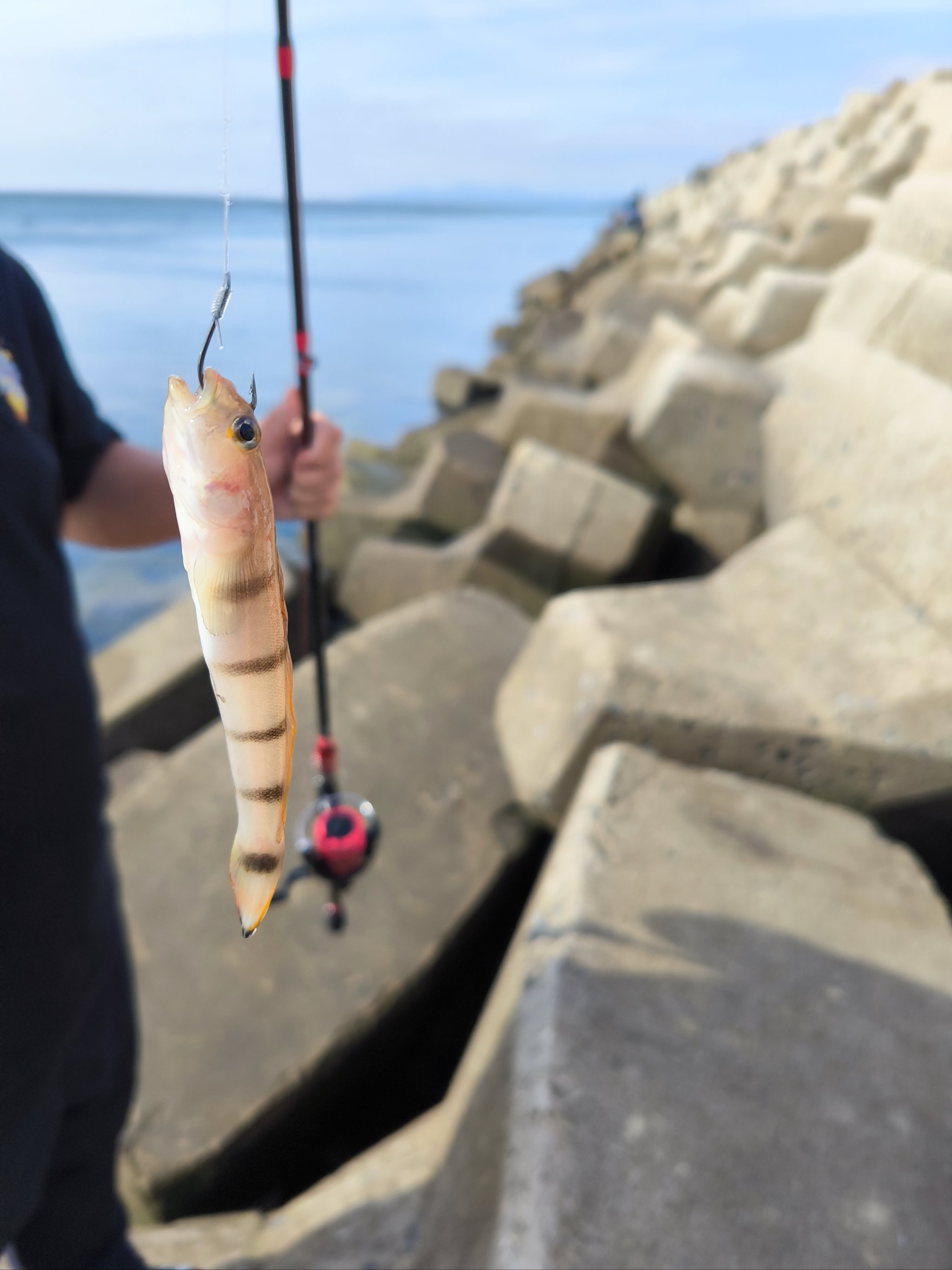 亚婆角海钓(亚婆角海钓点)