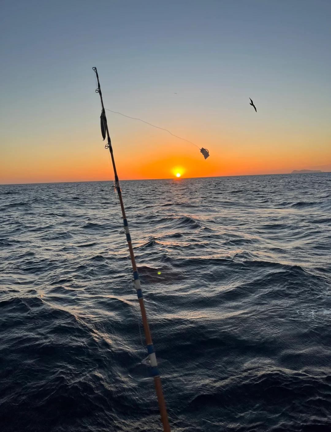 亚婆角海钓(亚婆角海钓点)