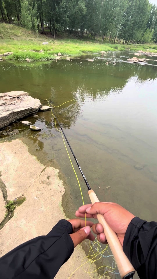 路亚怎样钓白条(用路亚怎么钓白条鱼视频教程)