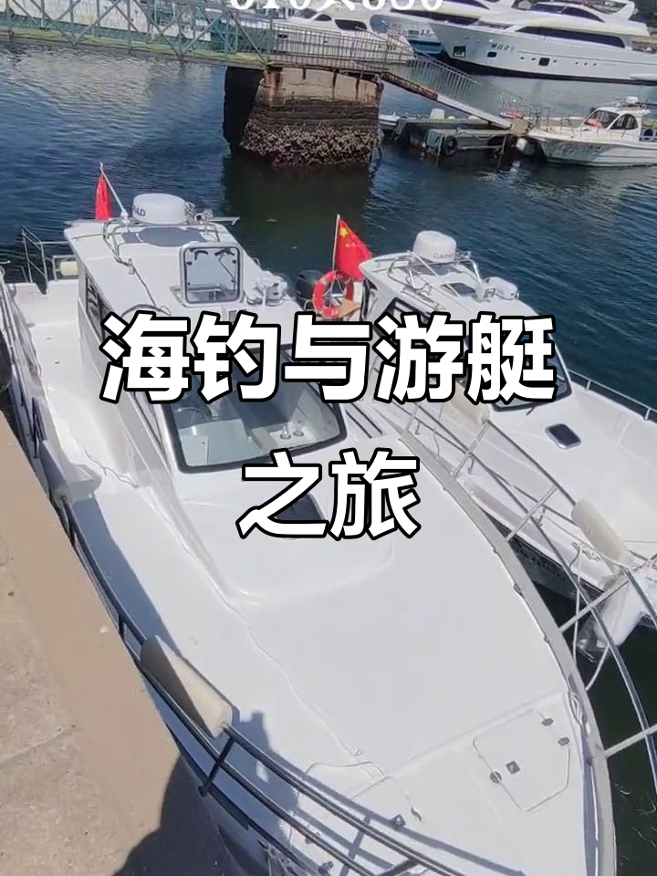 日照海钓鱼的地点(日照海钓鱼的地点有哪些)