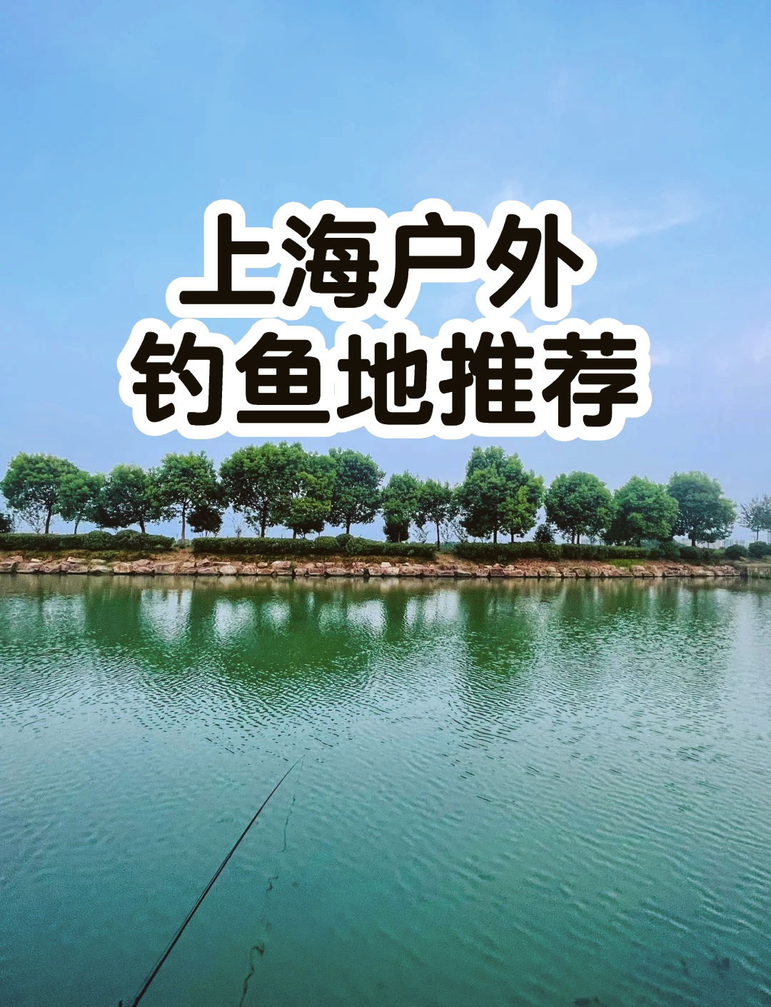 上海钓草鱼地点(上海钓草鱼地点有哪些) 上海钓草鱼地点(上海钓草鱼地点有哪些)