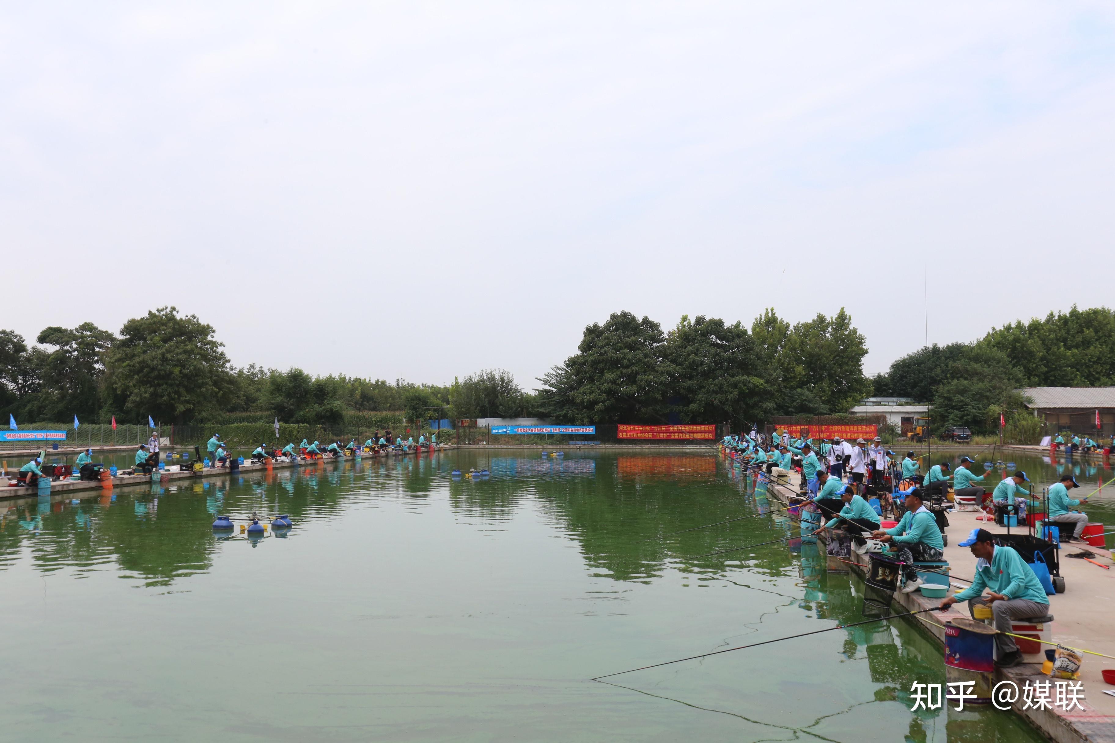 钓鱼社南海钓鱼(南海钓鱼岛)