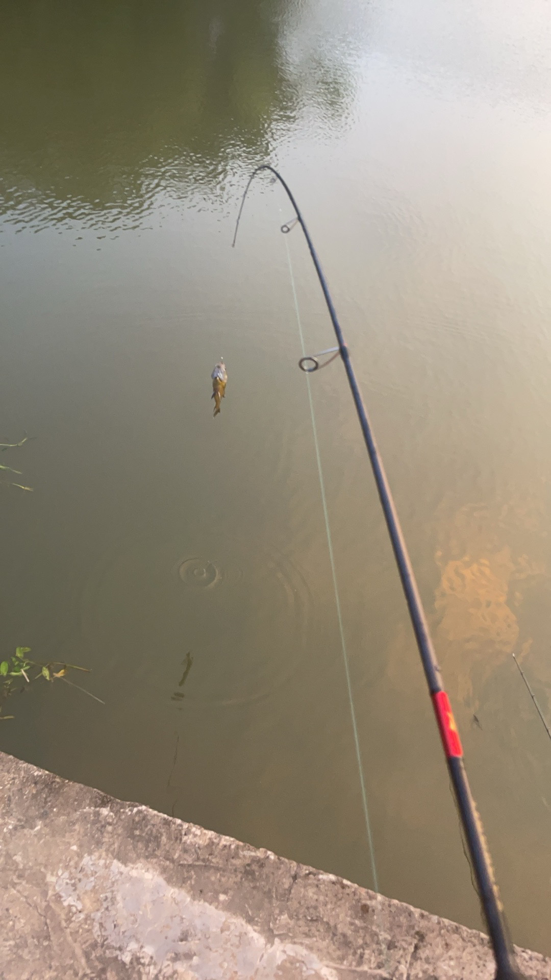 钓鱼社南海钓鱼(南海钓鱼岛)