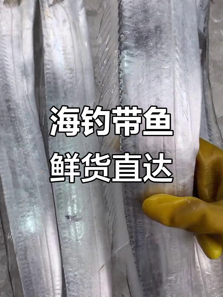 海钓带鱼时间(海钓带鱼钓法视频)