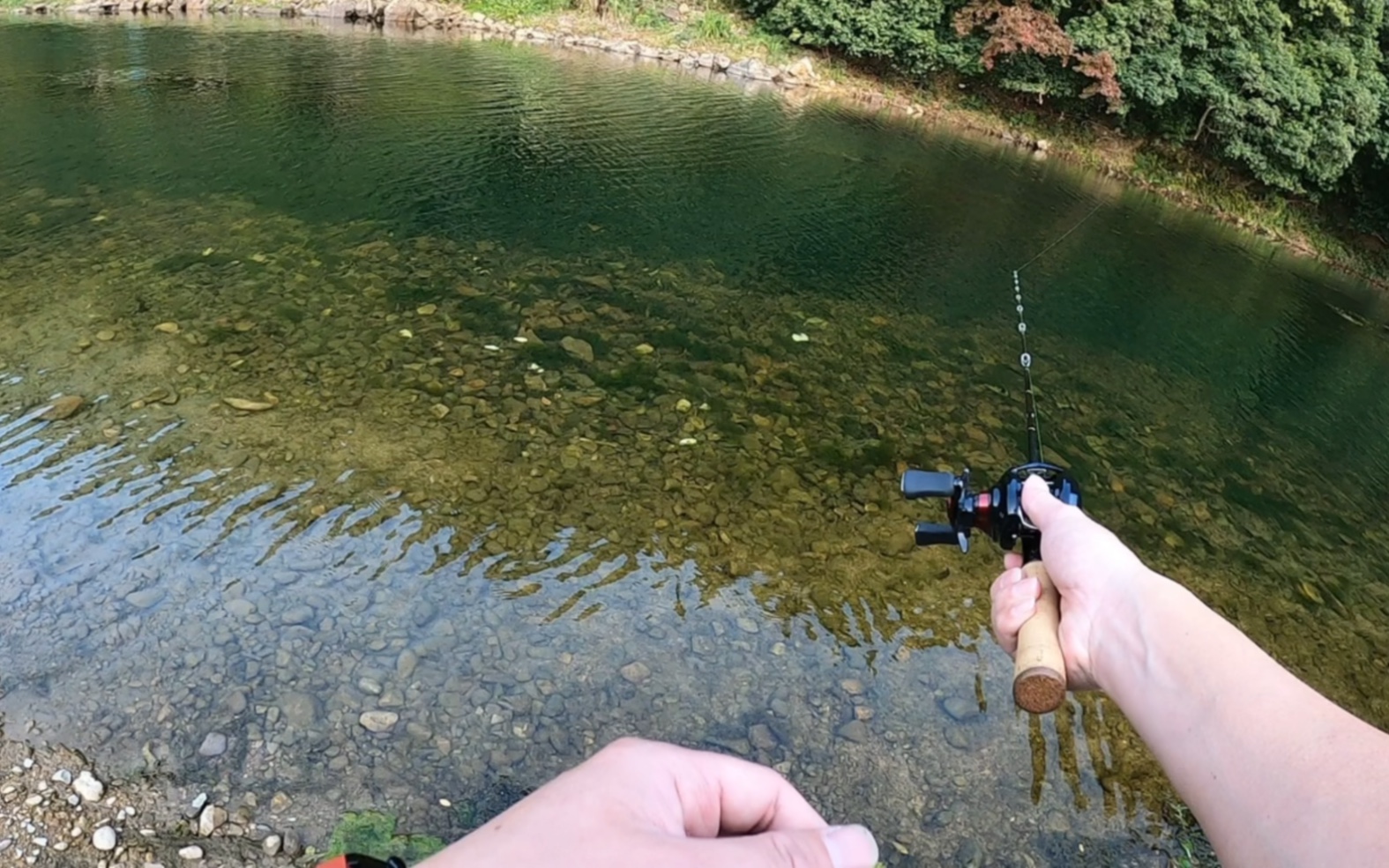 宁乡路亚马口(宁乡路亚钓点)