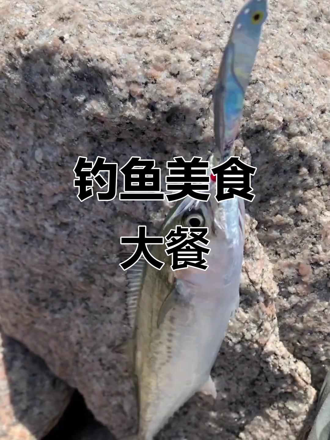 海钓鲈鱼常识和技巧(海钓鲈鱼技巧大全)