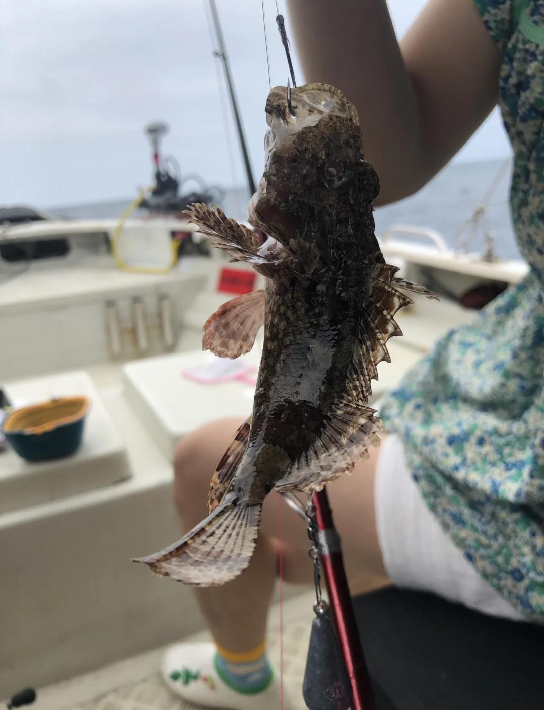 四海钓鱼海钓一帮人(四海钓鱼是什么意思)