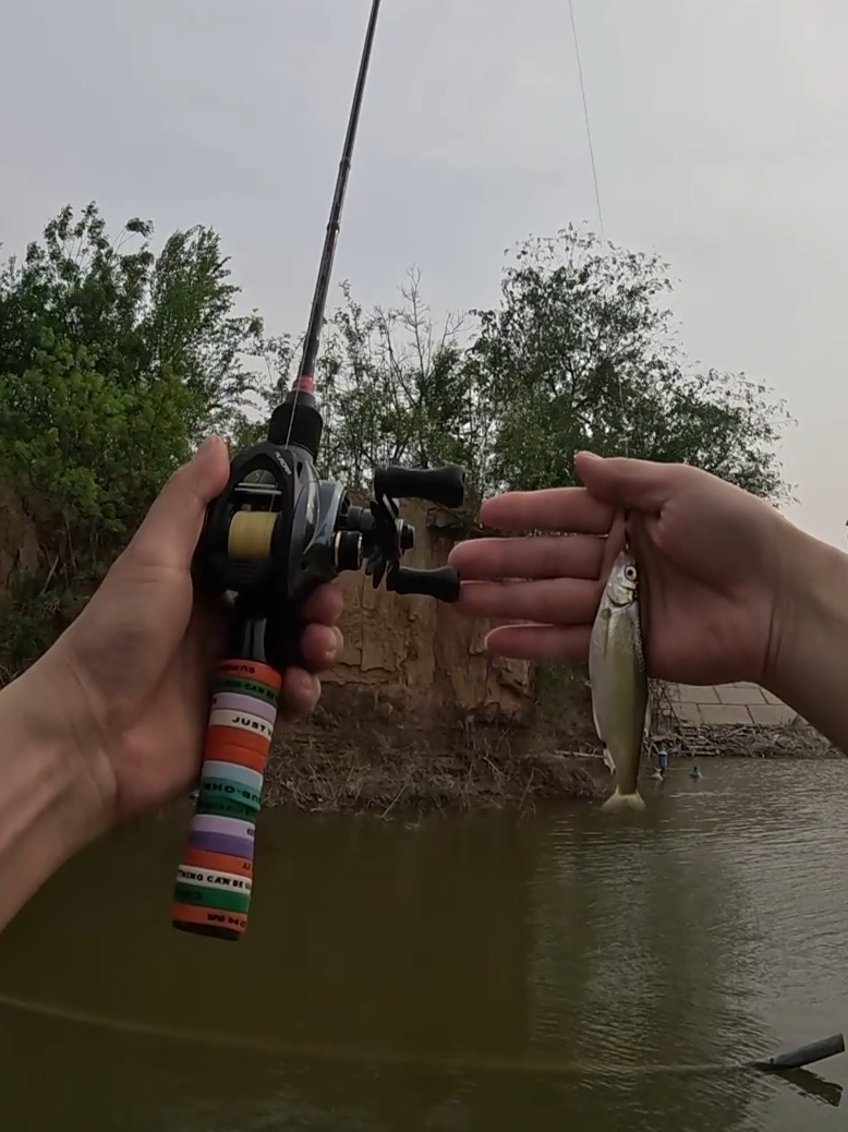 路亚拖地(钓翘嘴十句口诀)