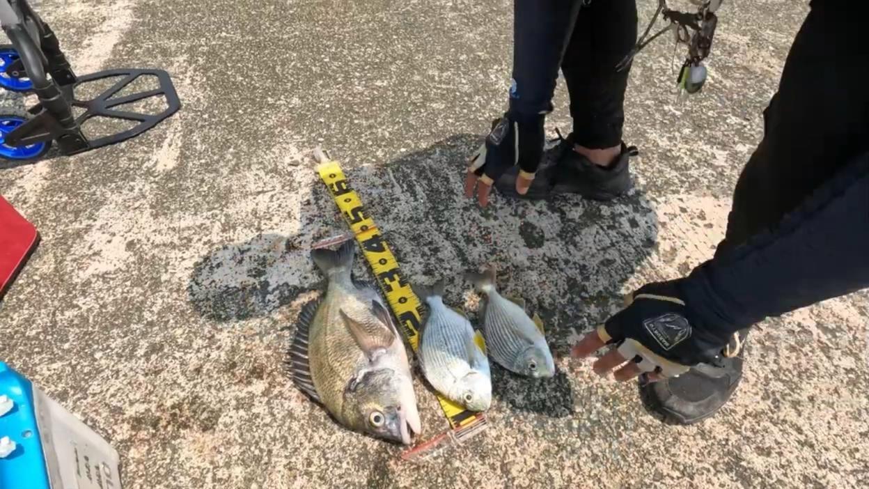 什么叫海钓矾钓(海钓的用法)