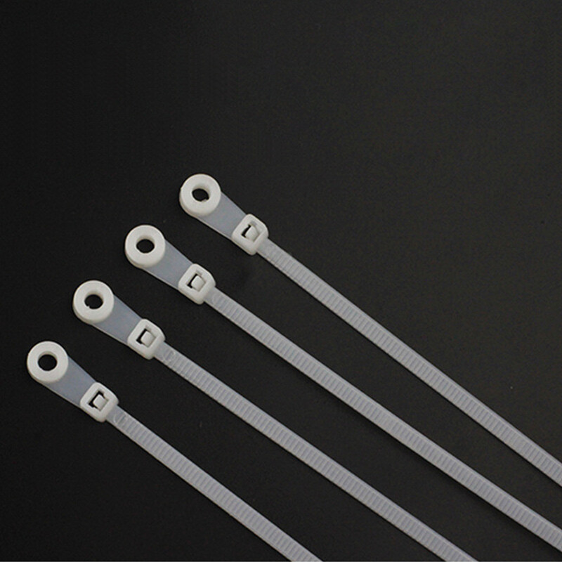 海钓扎带(海钓图片真实)