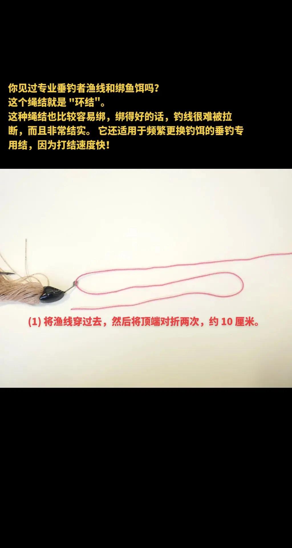 钓鱼饵料怎么密封(饵料怎么放)