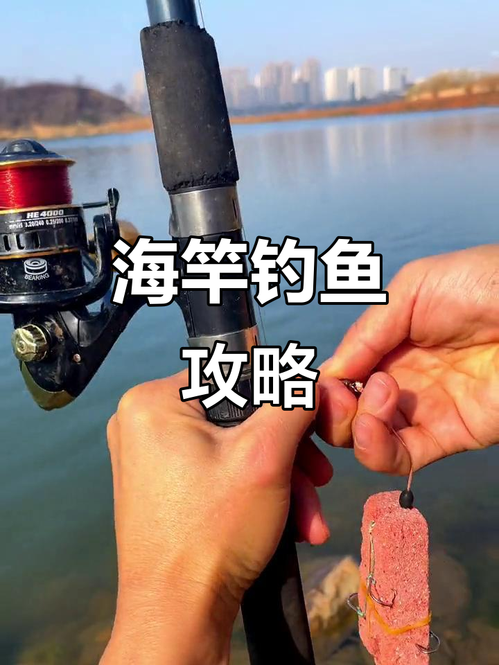海竿大鱼技巧(海竿中大鱼视频)