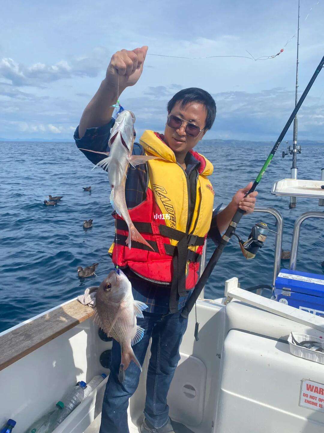 日本奢华海钓(日本最好的海钓地方)