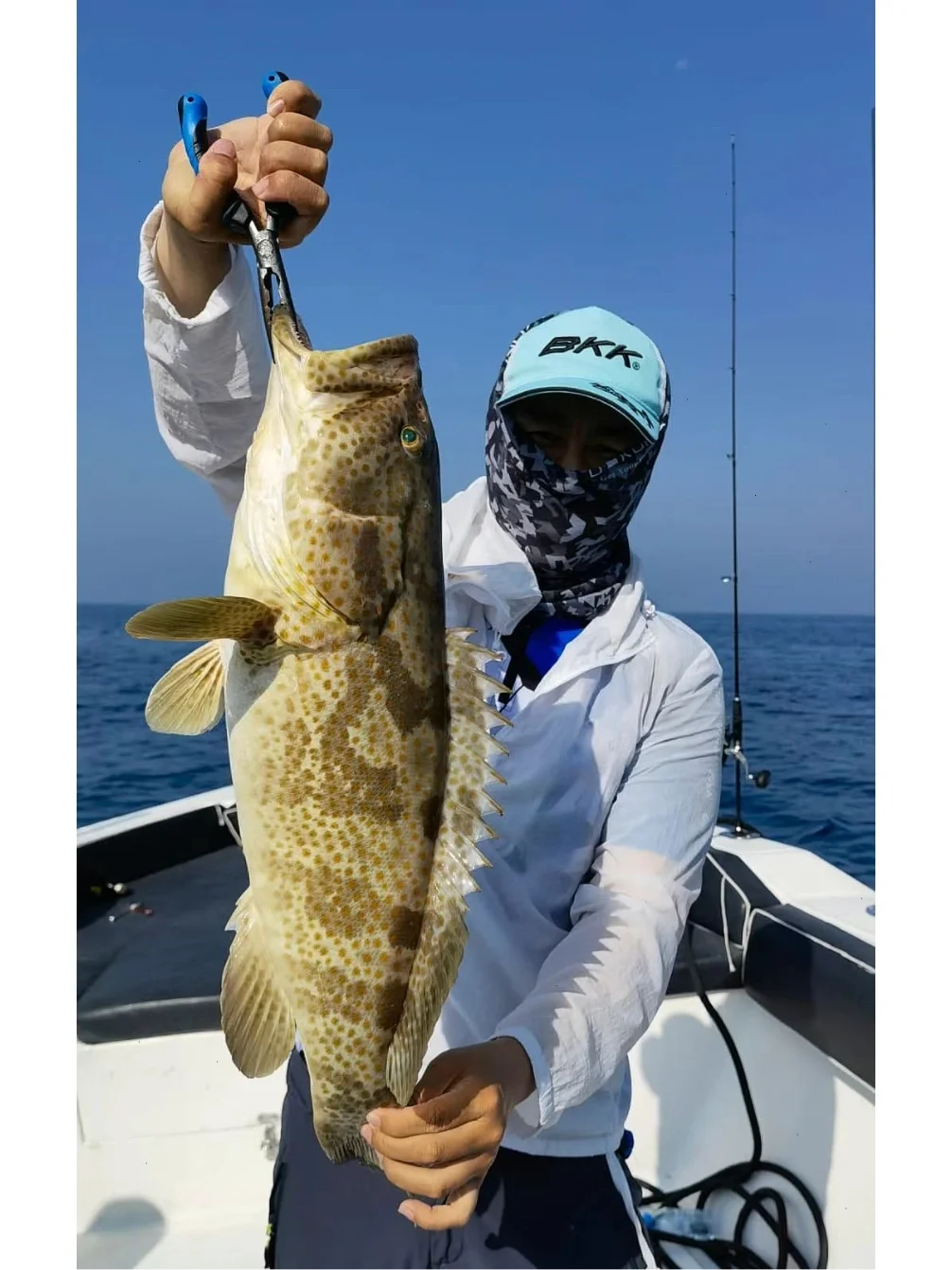 日本奢华海钓(日本最好的海钓地方)